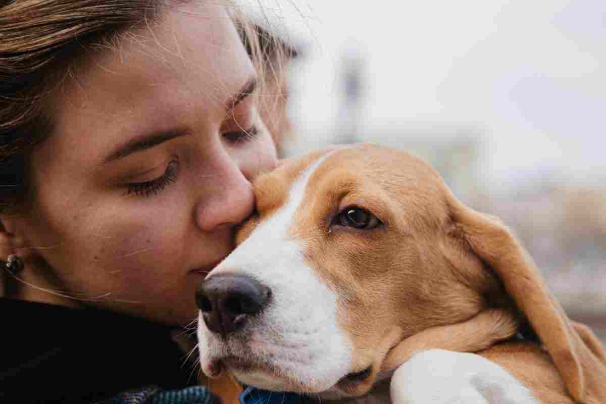 regali per cani